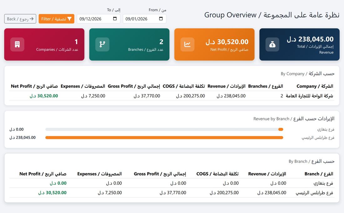 نظرة عامة على المجموعة: الأداء المالي لكل شركة وفرع